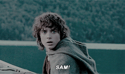 beeslyp:   I made a promise, Mr. Frodo…a promise "Don’t you leave him, Samwise Gamgee.“ And I d