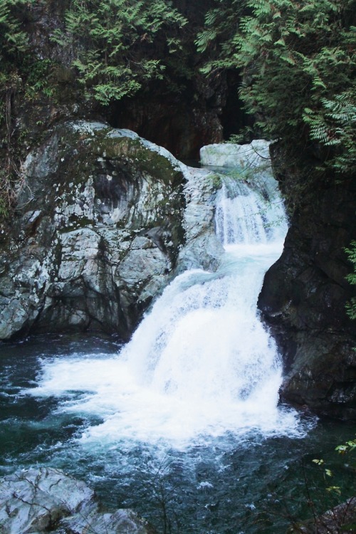 matchbox-mouse:Waterfalls in the canyon.On a hike in BC.