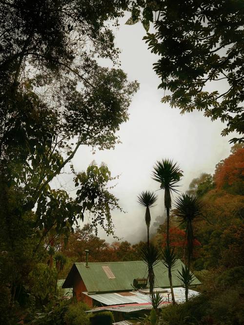Talamanca Mountains, Costa Rica