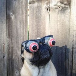 https://69.media.tumblr.com/65bc6cb51b05e7753a3823dcb6648c71/tumblr_mx7zejOzXp1set5jfo1_500.jpg