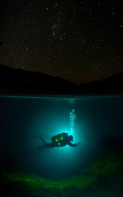 staceythinx:  Underwater photographer Viktor