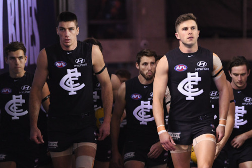 roscoe66: Marc Murphy of the Carlton Blues   