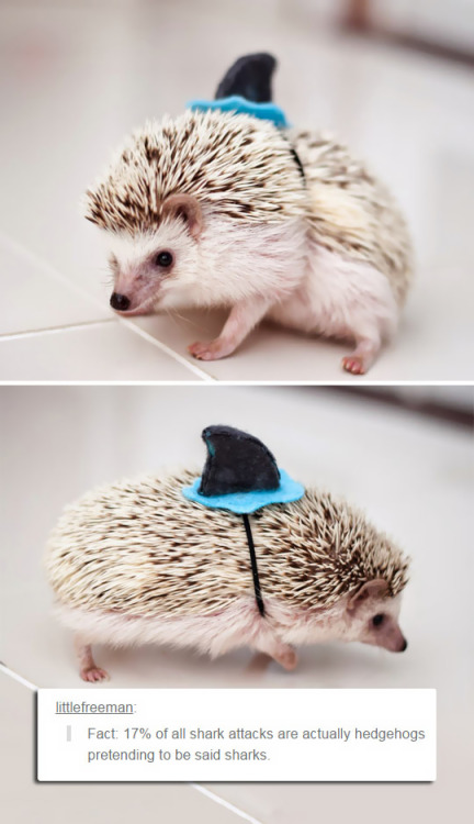 lezzygunsandammo91:  omg baby i want one please :) lezzygunsandammo91sgirl  Soooo 💗!