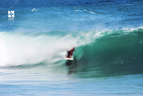 Caribbean barrel&hellip;