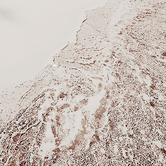 mermaydsnet member edit → Mary ( @thewinedarksea )— how dark it is; how far i am from shore.
