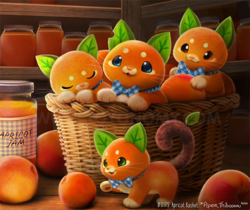 3175. Apricat BasketApricat Plush Announcement! (See below)Hello everyone!We have some exciting news