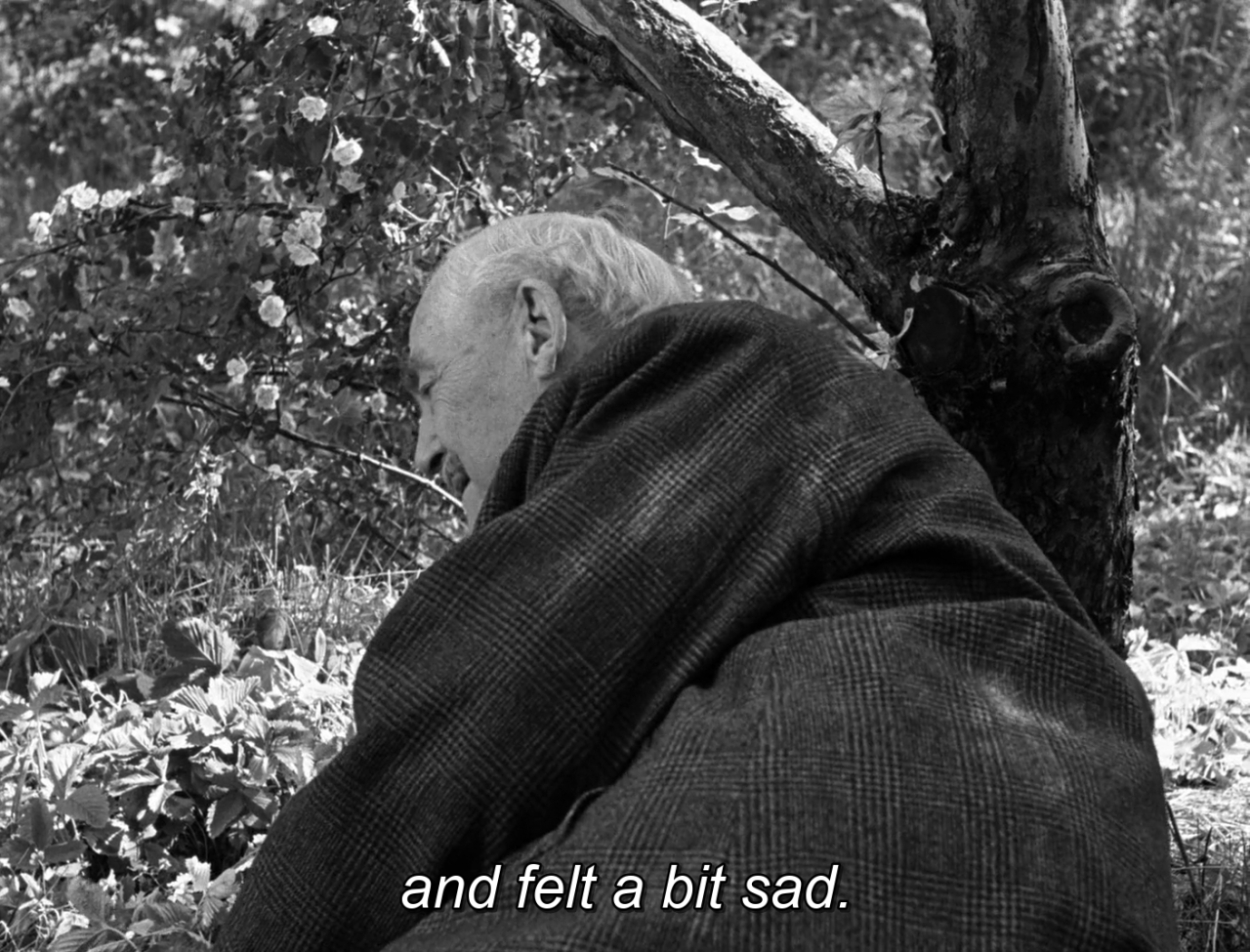 timotaychalamet: Wild Strawberries (1957) dir. Ingmar Bergman