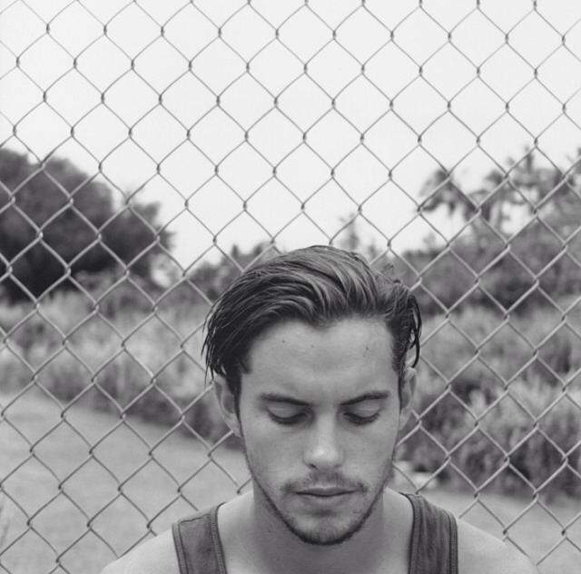 amandesbleus:  Dylan