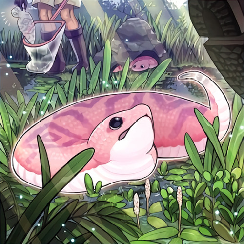 fyeahygocardart:Danger!? Tsuchinoko?