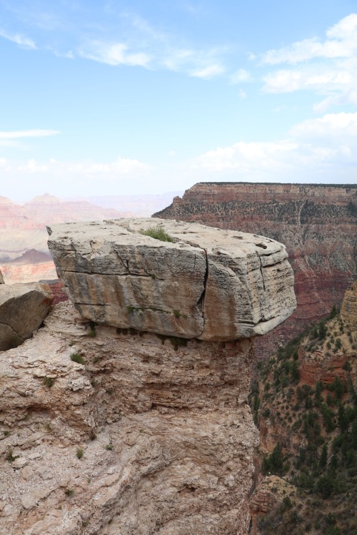 margaretinthewood:Grand Canyon National Park /Arizona