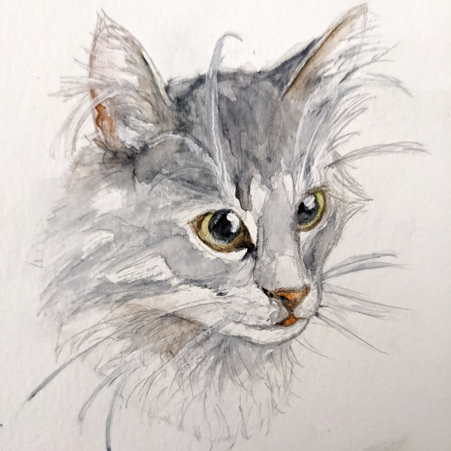 A watercolor painting of a cat's face. She has long gray hair and round green eyes. Her tongue is sticking out a little bit.