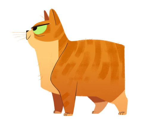 dailycatdrawings: 591: Manx