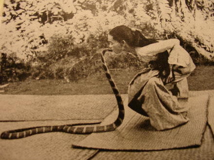 feathers-borealis:Burma’s famous snake charmer Saya Hnin-Mahla kissed her King Cobra on the head as 