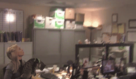 ice-queenx:  pottertasticalness:   I swear, this is one of the greatest scenes in this show…EVER. “Save Bandit!”   just watched this episode.  I damn near shitted myself from laughing too hard during this scene.