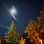 moonlightparlor