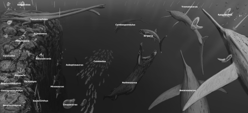 Results From The Besano Formation #paleostream! The Middle Triassic Has Much To Offer! 