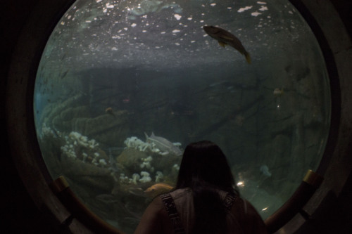 fish eye | necessaryaesthetic