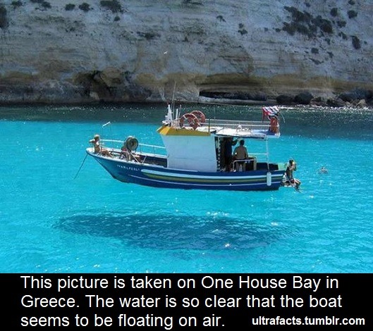ultrafacts:  More facts HERE