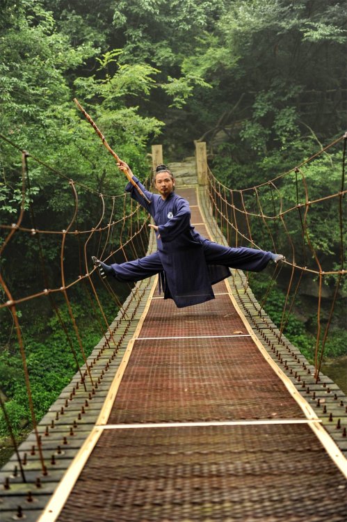  Wudang Master Chen Shiyu 