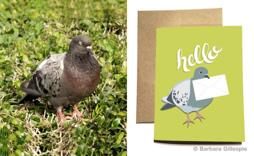 I caught this pigeon asleep and made him into a greeting card. Card available at Flopsock Designs on