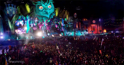 raversaurusrex:  Are you ready for Electric Daisy Carnival 2016?  <3