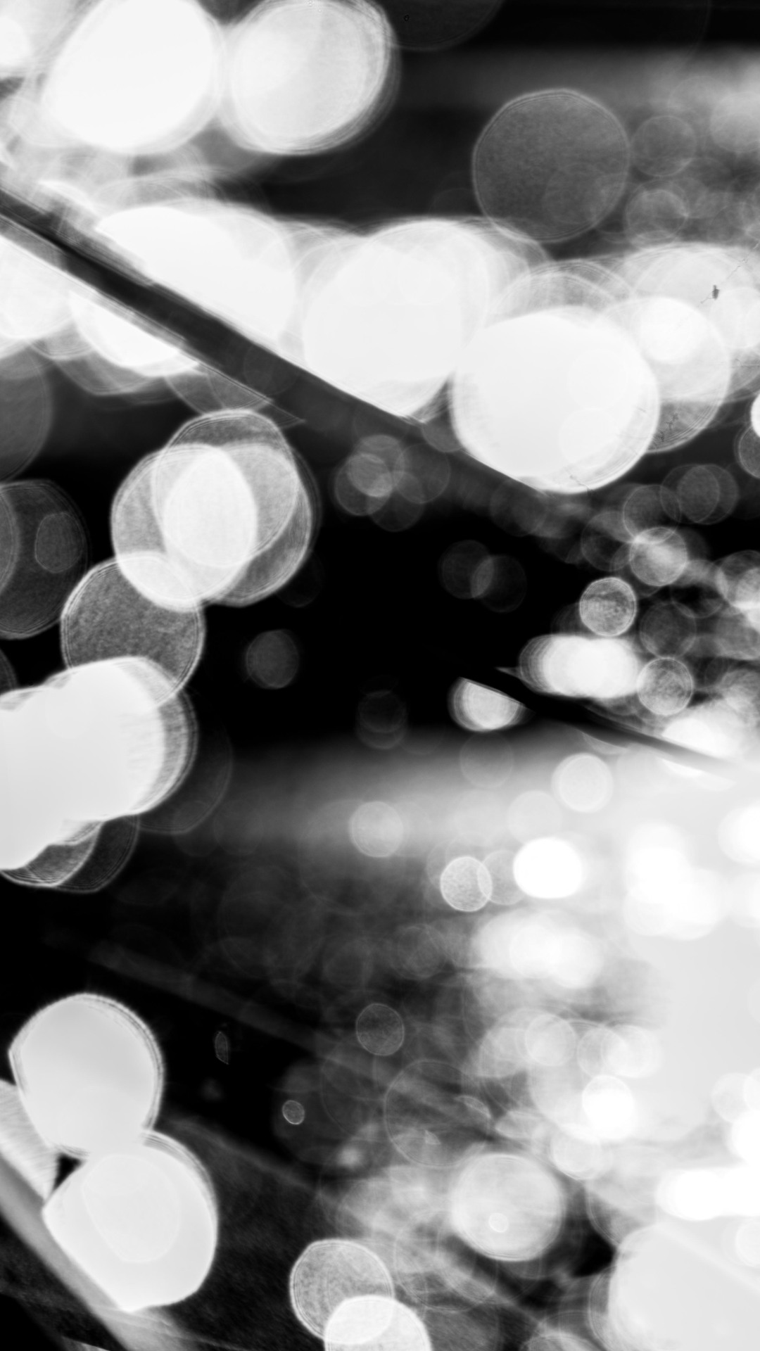 fotomog:a#162 (remains of a day)