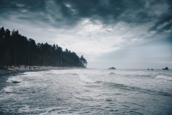 macalaelliottphotography: Sleepy Afternoon on Ruby Beach | Olympic National Park  Macala Elliott Photography 