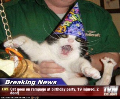 funny happy birthday pictures tumblr