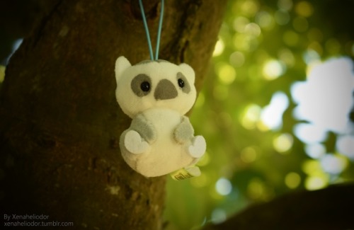 ~ Plush Hiking ~One small step for us, a great adventure for Puchimaru kind - the Happy Zoo friends 