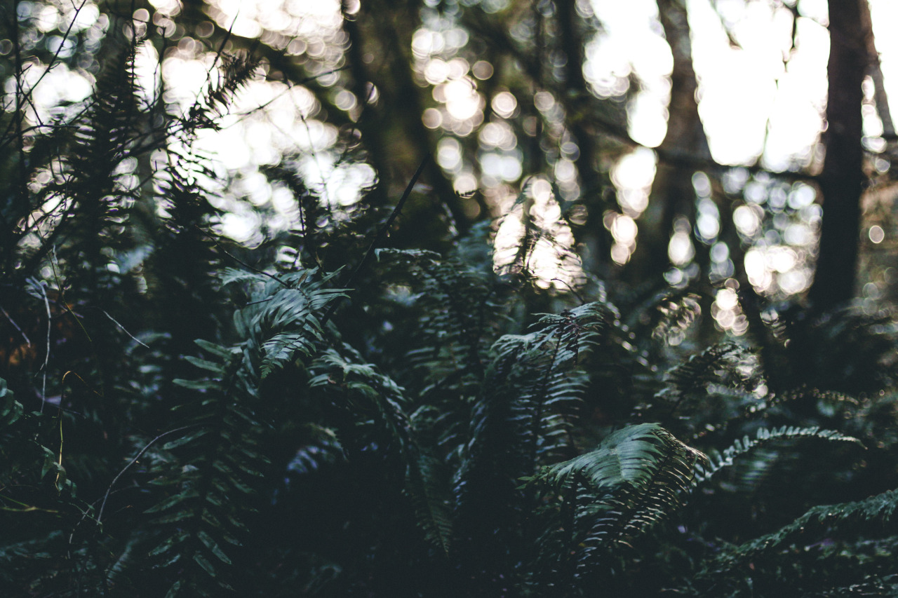 strictly nature