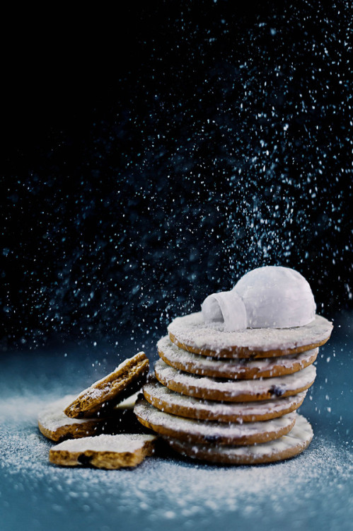 XXX weeheartfood:  Igloo (Powdered Sugar)    photo