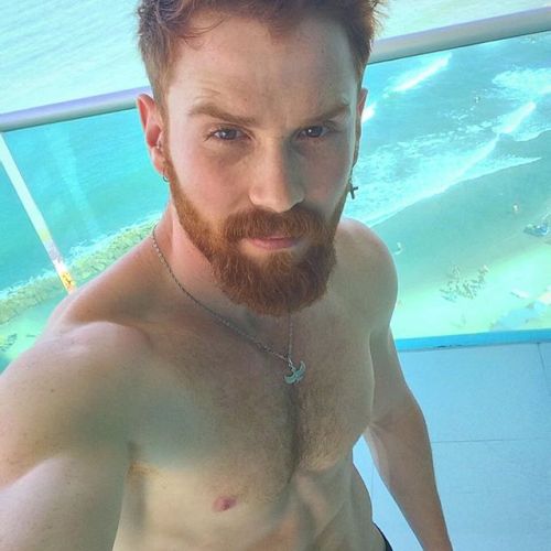 hairygingerman:  gorgeous ginger man