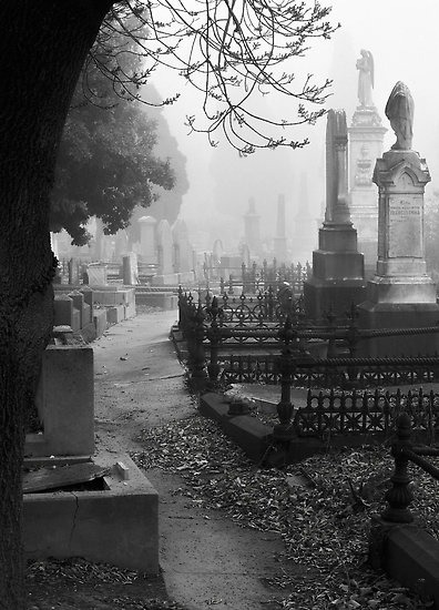 Stone Angels and Cemeteries / “Fallen” Fine Art Print by Mieke Boynton | RedBubble en We Heart It. http://weheartit.com/entry/74133332/via/crimsonuniverse