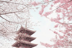plumu:  Japanese tower (by HelenHaung) 