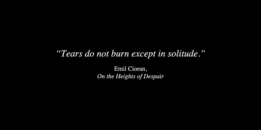 anamorphosis-and-isolate:  Emil Cioranfrom On the Heights of Despair