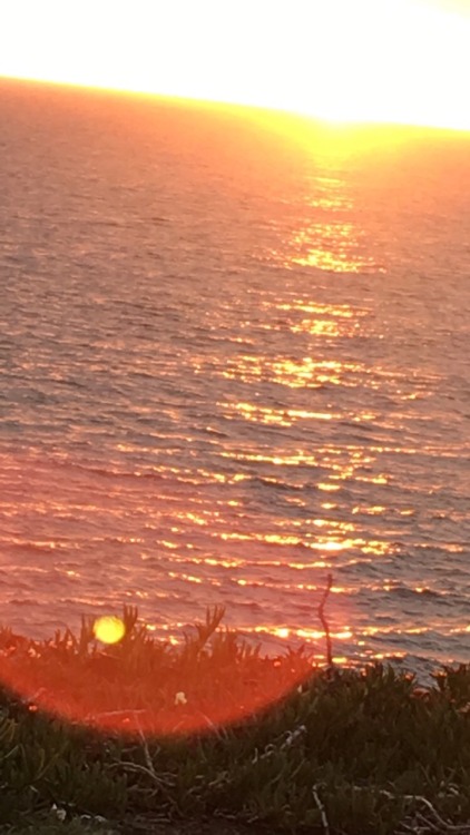 bbybull:sunset at the beach last night was so nice
