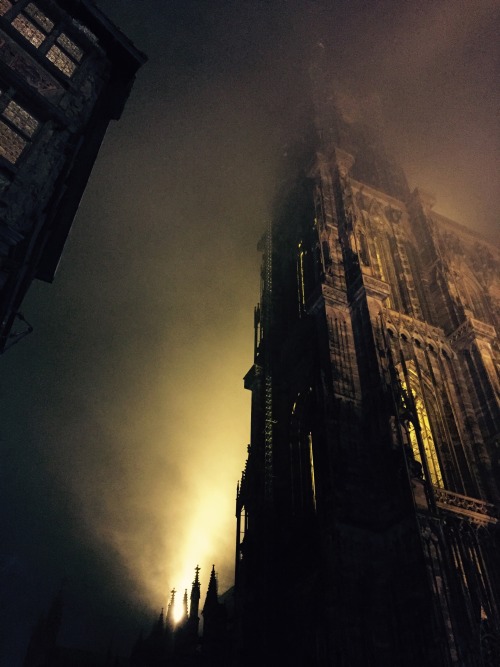 yodamanu:Nice fog yesterday night. Strasbourg 2016.