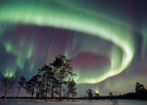 I want to go to there. Finnish Lapland Photo: Jorma Luhta