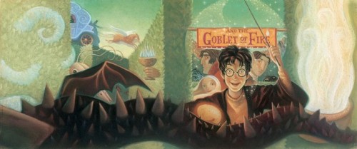 movies-move-the-world:Harry Potter Book Covers