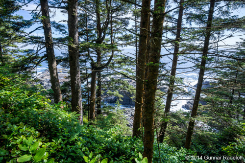 3.7.2014 - West Coast Trail you don`t disappoint!#BC #Canada #VancouverIsland #Bamfield #WestCoastTr