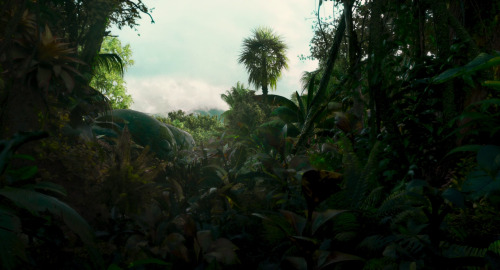 Memoria (Apichatpong Weerasethakul, 2021)cinematography: Sayombhu Mukdeeprom