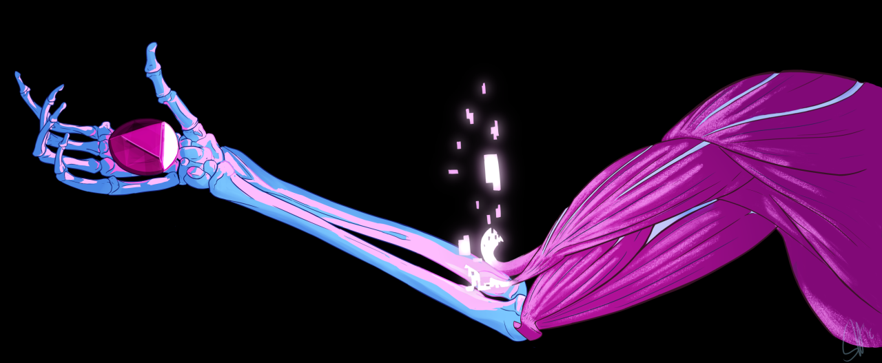 noddyrescue:  In a continued attempt to trick myself into learning anatomy, here
