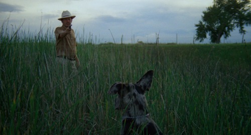 raysofcinema:  BADLANDS (1973) Directed by Terrence Malick Cinematography by Tak Fujimoto, Steven La