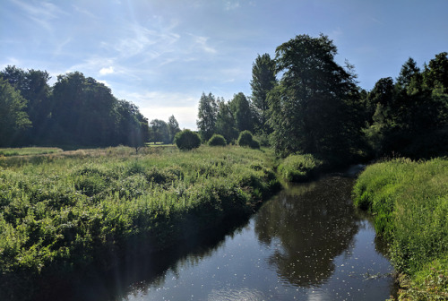 The Luggie Water through the seasonsToday marks a year since I started working at a garden centre, t