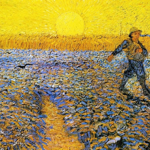 plantskid: how lovely yellow is. it stands for the sun. (vincent van gogh)