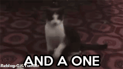 reblog-gif:  http://reblog-gif.tumblr.com/