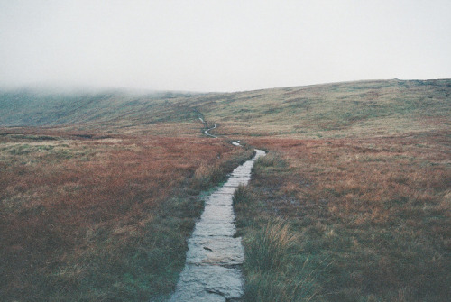 cerceos:  Thomas Luong Bavington - Whernside