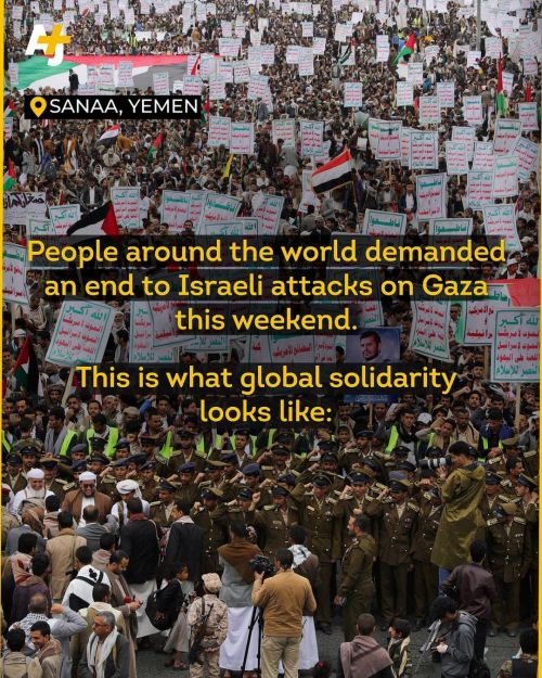 Don't Feel Helpless. You're Not Speaking Up For Palestine Alone. The World, Humanity, Is With You.