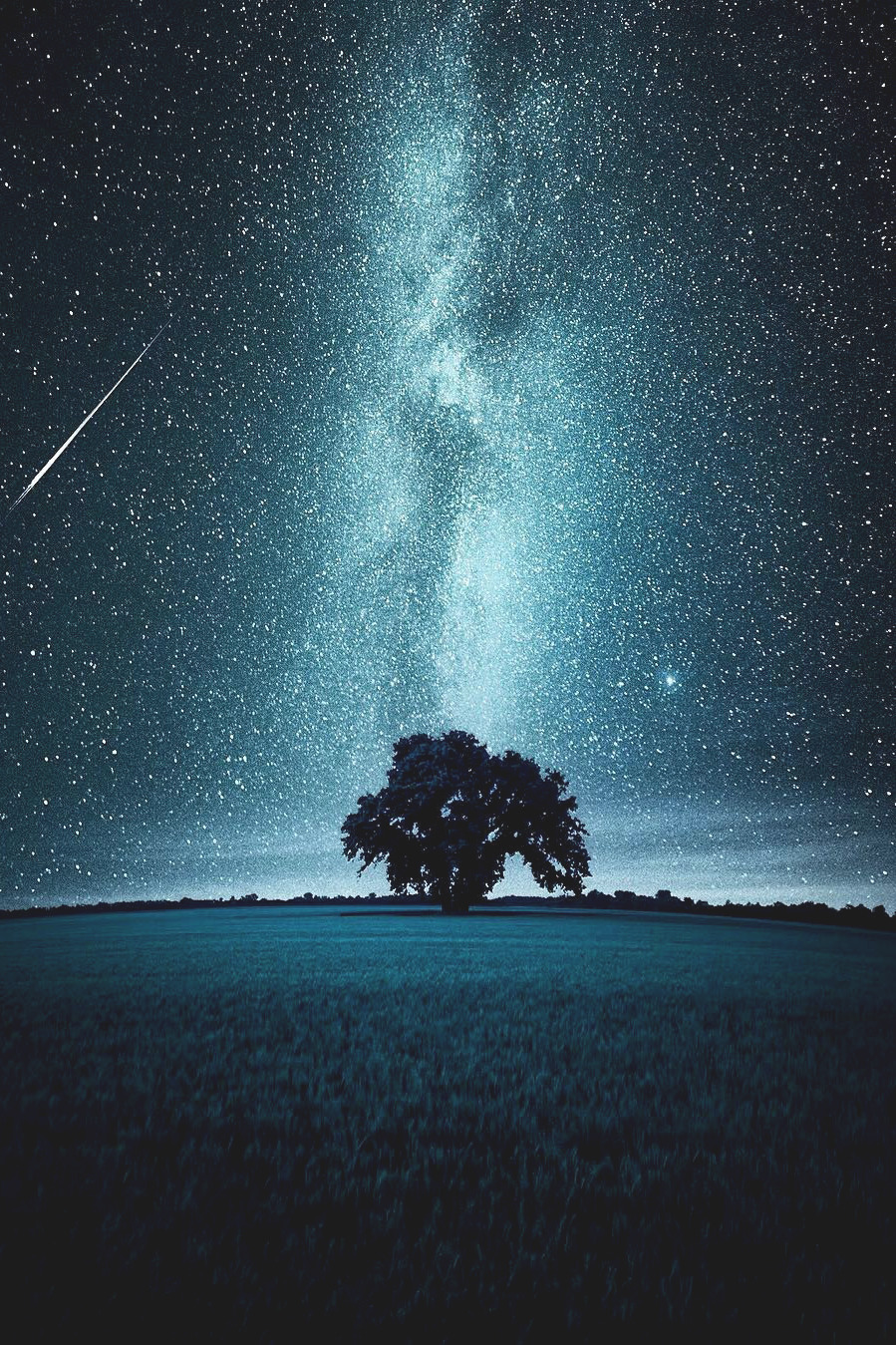 &ldquo;I believe the night I’ve never met hides one elusive star I need to