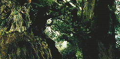 tiffaching:  lotr meme: three races → ents  &ldquo;But I have an odd feeling